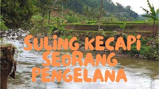 Suling Kecapi Sunda dan Pemandangan Alam Asri | 4K