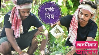 Kati bihu / কাতি বিহু কেনেকৈ পাতিলোঁ চাওঁ আহক /কঙালী বিহু / কাতি বিহু / Kongali Bihu