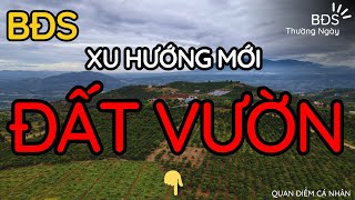 ĐẤT VƯỜN - Xu Hướng Mới Trong Đầu Tư Bất Động Sản | BĐS Thường Ngày