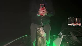 Raw Footage Of Weighing A 9.41 For The Toyota ShareLunker Program