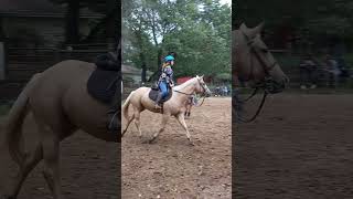 one of Bethany's first canters (OLD VIDEO) #dressage #shortvideos #horses #showjumping #jumping