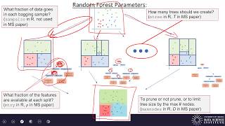 Machine Learning 8.2 - Random Forests