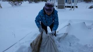 Земляника из под снега. Пермь 9 октября 2015.