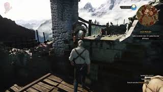 The Witcher III On Intel HD Graphics 520 | Low End PC