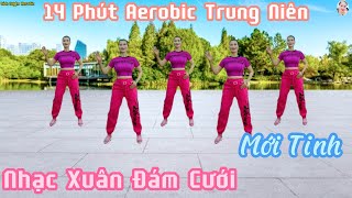 Nhạc Xuân Remix Mới Tinh | 14 Phút Aerobic Trung Niên_Vừa Giảm Cân, Lại Có Sức Khỏe Tốt// Bích Luyện