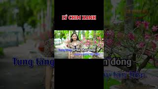 KARAOKE LÝ CHIM XANH  #karaokecavongco #nhachaymoingay#shorts