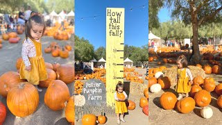 Peltzer Pumpkin Farm with Toddler!