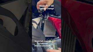 Honda PCX Coolant Change! #mitchsscooterstuff #hondapcx125 #coolant