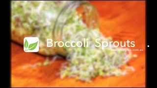 Broccoli Sprouts