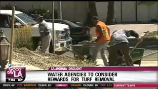 Metropolitan Water District To Consider Rewards For Yard, Turf Removal