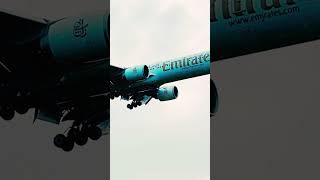 Emirates #short #emiratesairline