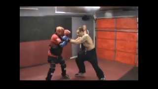 Develop An Effective Striking System For Mixed Martial Arts-12 High Priority MMA Striking Techniques