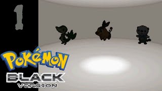 The Journey Begins! Pokémon Black Nuzlocke Part 1