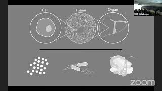 Dr. Alison Feder: Bi-directional lessons between 'traditional' evolutionary biology and cancer