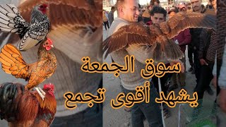 اضخم تجمع    لسوق الجمعة