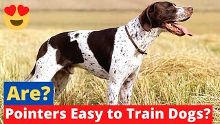 Are Pointers Easy to Train? | Pointer Dog Training Tips and Tricks |