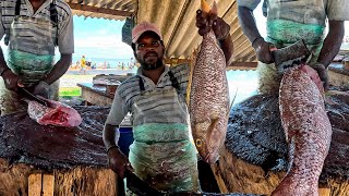 Art of Fish Cutting Big Orange Snapper Fish Cutting in Sea Fish Market Live in Rural Fish Market