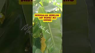 Berdoalah Sebelum Air Wudhu Mu Kering