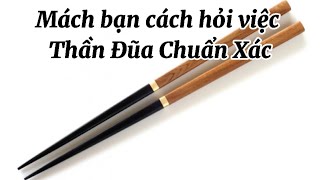 Mách bạn cách hỏi Thần Đũa về việc bạn đang cần biết @tuphuthandien