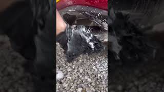 How I Clean My Car's Exhaust Tips #cardetailing