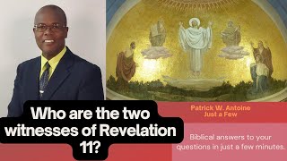 Who are the two witnesses of Revelation 11?