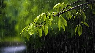 Música Relajante: LLuvia y Piano Tranquilo para Dormir, Aliviar el Estres, Meditar, Calmar