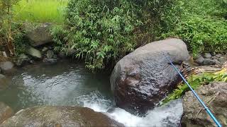 MANCING WADER DISUNGAI PEGUNUNGAN ll ALAMNYA MASIH INDAH