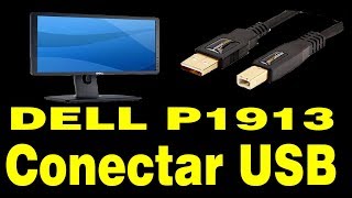 USB no  Monitor da DELL P1913 Aprenda a Conectar e Usar