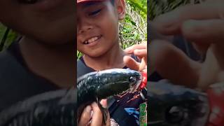 menunggu sampai bertahun-tahun ikannya naik juga#mancing #ikan #fishing @FebriMancing