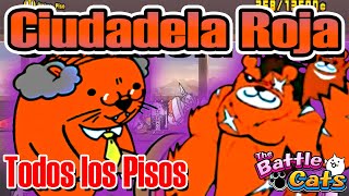 Ciudadela Roja - Todos los Pisos | Sin Megarraros (No Ubers) | The Battle Cats