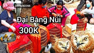 Chợ Phiên Miền Núi | Chợ Chim vùng cao Lạng Sơn