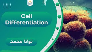 Cell Differentiation - تایبه‌تمه‌ندبوونی خانه‌