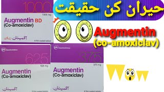 Tablet Augmentin 375mg,625mg,1000mg(co-amoxiclav)uses,dose,benefits and disadvantages in urdu/hindi