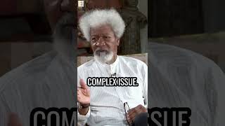 Wole Soyinka: We Owe The Younger Generation An Apology