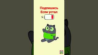 если устал подпишись #аллах #видео #котик