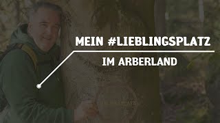 Mein #LIEBLINGSPLATZ im Arberland