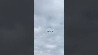 Embraer 145MP flight to Cape Town #planespotting #viral #embraer145 #shorts