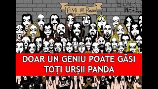 DOAR UN GENIU POATE GASI TOTI  PANDA  (Dacă rezolvați 16/20 sunteți mai deștepți decât Einstein!)