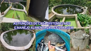 MOSTRANDO TODOS OS MEUS SISTEMAS E SUAS FUNÇÕES MANEJO ALIMENTAÇÃO E FILTRAGEM