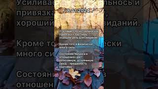 КлюЧисла дня🗝8.11.2024 От ЦифрАведа Милены Осиповой ТМ КлюЧисла #нумерология #прогноз #руны