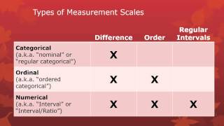 B1 - scales