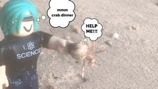 Roblox: A crabby day at the beach #roblox #crab