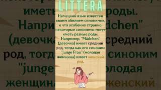 Безумные немецкие правила, о которых ты никогда не знал