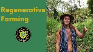 [Ep.87] Regenerative Farming w/ Pat Collins - Whole Health with Rob Carney Podcast