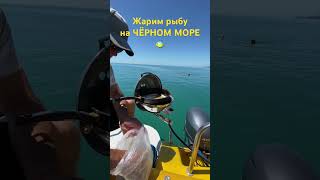 Рыбалка на чёрном море   КУДЕПСТА