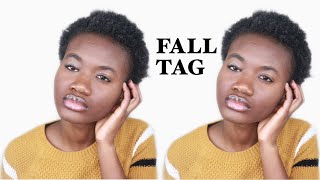 FALL FAVORITES TAG 2019 | AUTUMN TAG | LOVE YOUR CROWNZ