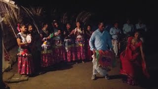 New tharu dance video thakurdwara Bardiya Nepal// new tharu dance thakurdwara Bardiya 2019 2076