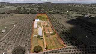 Quinta | Agrícola | Estufas | Elvas | Rustiévora | Venda