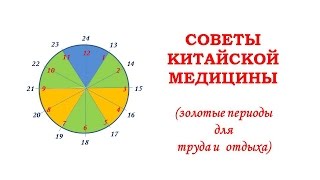 Советы китайской медицины -  лучшее время для работы, учёбы, спорта и отдыха