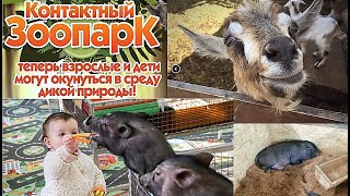 контактный зоопарк Радуга, г. Чита